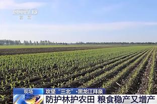 邓弗里斯：在国米感觉就像在自己的家 国米目标赢得意甲冠军